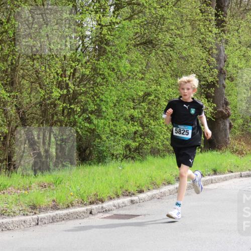 12.04.2026 - 45. Internationalen Wilhelmsburger Insellauf Yannick Fuchs http://msf.ph/oto/9502619 12.04.2026 12:46:12 Laufen 5825 meine-sportfotos.de