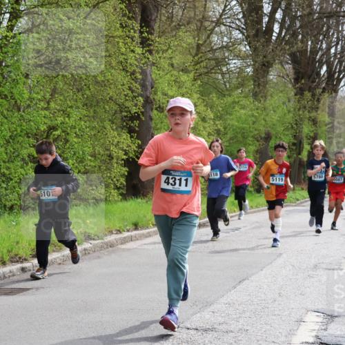 12.04.2026 - 45. Internationalen Wilhelmsburger Insellauf Yannick Fuchs http://msf.ph/oto/9503534 12.04.2026 12:50:08 Laufen 5114, 6118, 5780, 5119, 5087, 510, 4311, 5086 meine-sportfotos.de