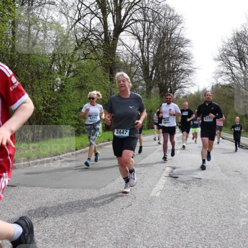 12.04.2026 - 45. Internationalen Wilhelmsburger Insellauf Yannick Fuchs http://msf.ph/oto/9503912 12.04.2026 12:51:23 Laufen 5062, 5277, 2447, 5774, 4830, 5777, 3439 meine-sportfotos.de
