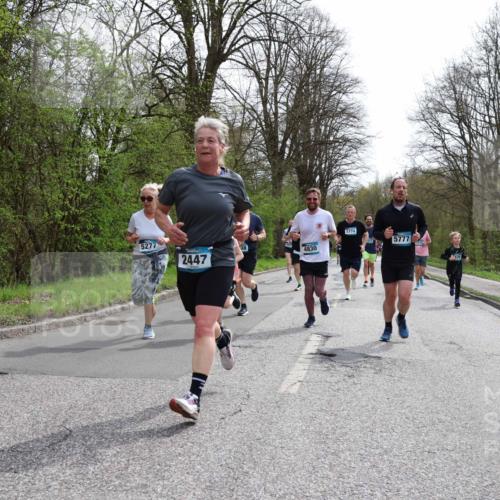 12.04.2026 - 45. Internationalen Wilhelmsburger Insellauf Yannick Fuchs http://msf.ph/oto/9503913 12.04.2026 12:51:23 Laufen 5277, 2447, 4830, 5774, 5777 meine-sportfotos.de
