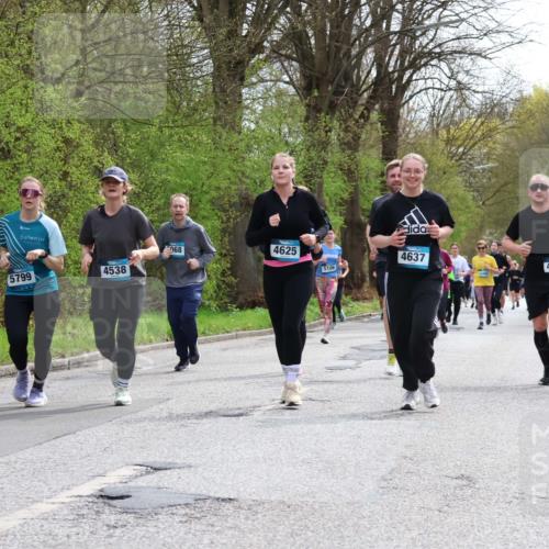 12.04.2026 - 45. Internationalen Wilhelmsburger Insellauf Yannick Fuchs http://msf.ph/oto/9504809 12.04.2026 12:54:23 Laufen 1, 068, 4537, 4625, 5799, 4538, 5106, 4637, 4032 meine-sportfotos.de