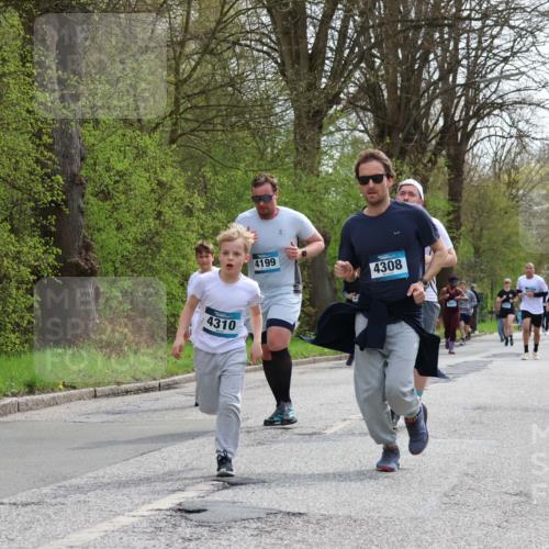 12.04.2026 - 45. Internationalen Wilhelmsburger Insellauf Yannick Fuchs http://msf.ph/oto/9505403 12.04.2026 12:56:29 Laufen 4310, 4199, 4308 meine-sportfotos.de