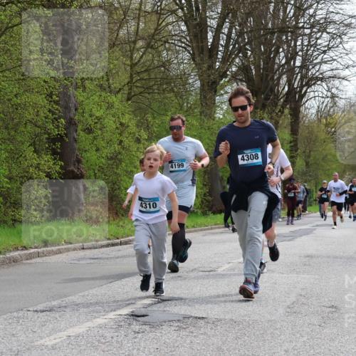 12.04.2026 - 45. Internationalen Wilhelmsburger Insellauf Yannick Fuchs http://msf.ph/oto/9505404 12.04.2026 12:56:29 Laufen 4310, 4199, 4308 meine-sportfotos.de