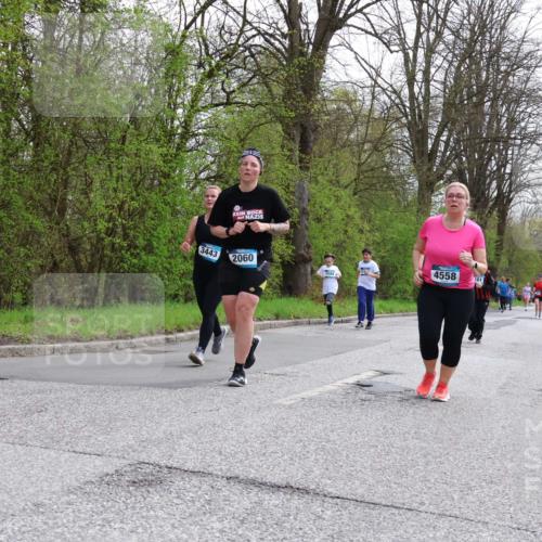 12.04.2026 - 45. Internationalen Wilhelmsburger Insellauf Yannick Fuchs http://msf.ph/oto/9506841 12.04.2026 13:02:07 Laufen 532, 3443, 2060, 3584, 4558, 161 meine-sportfotos.de