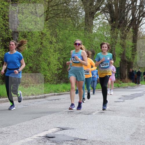 12.04.2026 - 45. Internationalen Wilhelmsburger Insellauf Yannick Fuchs http://msf.ph/oto/9506885 12.04.2026 13:02:18 Laufen 520, 6498, 5265 meine-sportfotos.de