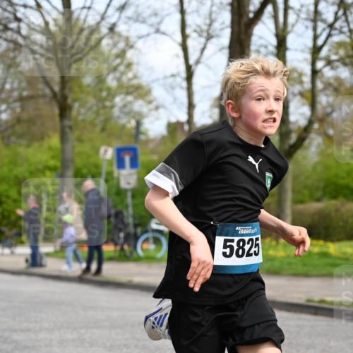 12.04.2026 - 45. Internationalen Wilhelmsburger Insellauf J. Mangold http://msf.ph/oto/9508070 12.04.2026 12:50:54 Ziel 5530, 5825, 5411, 4282, 3982, 3925, 5595, 2959, 5860 meine-sportfotos.de