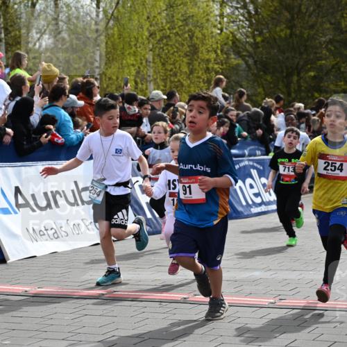 12.04.2026 - 45. Internationalen Wilhelmsburger Insellauf J. Mangold http://msf.ph/oto/9520457 12.04.2026 14:09:00 Ziel 211, 711, 530, 91, 254, 1506, 266, 713, 547, 762, 281, 928 meine-sportfotos.de
