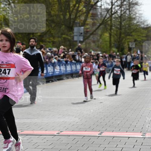 12.04.2026 - 45. Internationalen Wilhelmsburger Insellauf J. Mangold http://msf.ph/oto/9520547 12.04.2026 14:09:14 Ziel 214, 939, 274, 191, 1075, 52, 247, 453, 273, 955, 786, 947, 180 meine-sportfotos.de