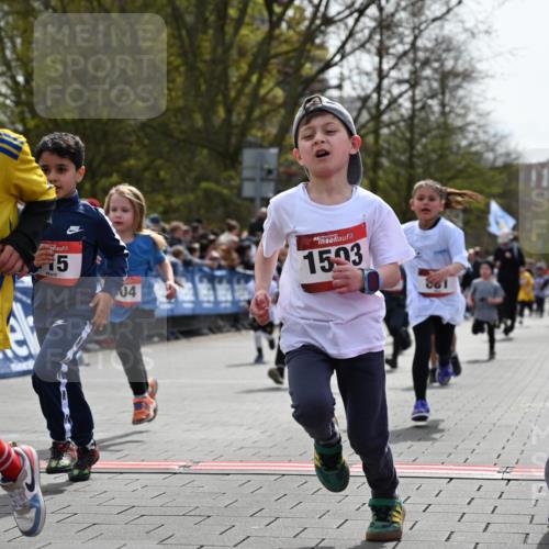 12.04.2026 - 45. Internationalen Wilhelmsburger Insellauf J. Mangold http://msf.ph/oto/9520870 12.04.2026 14:10:02 Ziel 907, 158, 268, 543, 721, 1503, 736, 715, 6, 1504, 412, 681, 640, 248, 441, 723, 119, 186, 224 meine-sportfotos.de