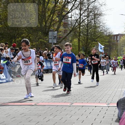 12.04.2026 - 45. Internationalen Wilhelmsburger Insellauf J. Mangold http://msf.ph/oto/9520937 12.04.2026 14:10:14 Ziel 157, 1518, 192, 946, 738, 201, 189, 269, 1524, 961, 938, 198, 932, 639 meine-sportfotos.de