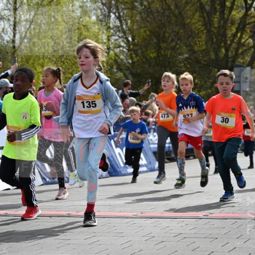 12.04.2026 - 45. Internationalen Wilhelmsburger Insellauf J. Mangold http://msf.ph/oto/9521890 12.04.2026 14:20:49 Ziel 3, 285, 1073, 767, 404, 318, 539, 431, 135, 545, 537, 30, 133, 977, 84, 1606, 473, 956, 467, 324, 299, 1605, 278 meine-sportfotos.de