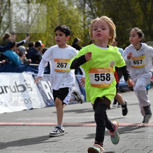 12.04.2026 - 45. Internationalen Wilhelmsburger Insellauf J. Mangold http://msf.ph/oto/9522218 12.04.2026 14:21:42 Ziel 957, 823, 117, 558, 267, 657, 698, 678, 279, 960, 838, 234, 111 meine-sportfotos.de