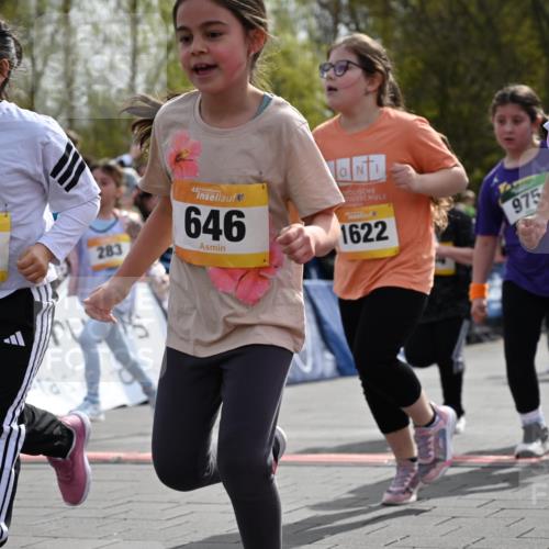 12.04.2026 - 45. Internationalen Wilhelmsburger Insellauf J. Mangold http://msf.ph/oto/9522260 12.04.2026 14:21:49 Ziel 838, 234, 111, 66, 136, 729, 769, 646, 159, 1622, 317, 283, 134, 316, 792, 763, 255, 65, 1617 meine-sportfotos.de
