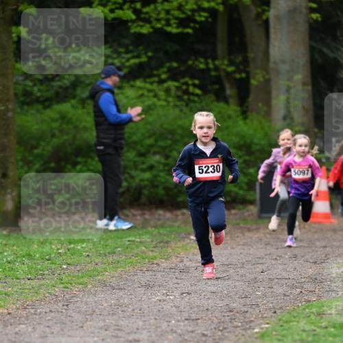 19.04.2026 - Hammer Lauf Dr. Thomas Lammeyer http://msf.ph/oto/9524898 19.04.2026 09:00:46 Laufen 5230, 5097 meine-sportfotos.de