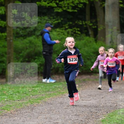 19.04.2026 - Hammer Lauf Dr. Thomas Lammeyer http://msf.ph/oto/9524906 19.04.2026 09:00:47 Laufen 5230, 519, 5097 meine-sportfotos.de