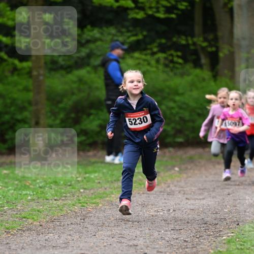 19.04.2026 - Hammer Lauf Dr. Thomas Lammeyer http://msf.ph/oto/9524907 19.04.2026 09:00:47 Laufen 5230, 5097 meine-sportfotos.de