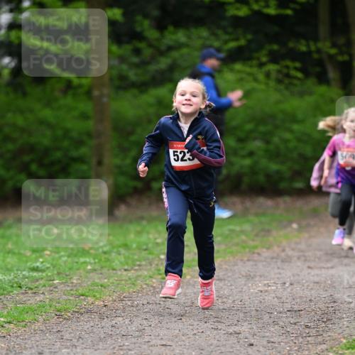 19.04.2026 - Hammer Lauf Dr. Thomas Lammeyer http://msf.ph/oto/9524911 19.04.2026 09:00:48 Laufen 523, 509 meine-sportfotos.de