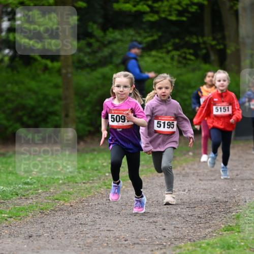 19.04.2026 - Hammer Lauf Dr. Thomas Lammeyer http://msf.ph/oto/9524922 19.04.2026 09:00:50 Laufen 509, 5195, 5151 meine-sportfotos.de