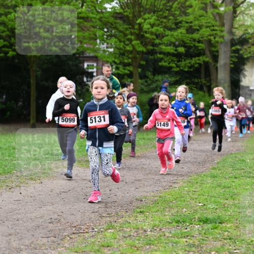 19.04.2026 - Hammer Lauf Dr. Thomas Lammeyer http://msf.ph/oto/9524976 19.04.2026 09:00:59 Laufen 5099, 5131, 5085, 5149 meine-sportfotos.de