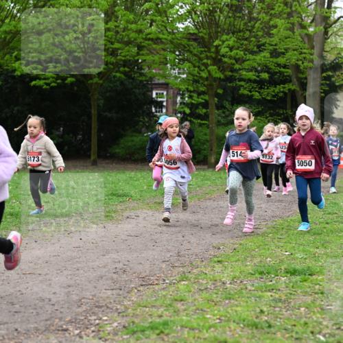 19.04.2026 - Hammer Lauf Dr. Thomas Lammeyer http://msf.ph/oto/9525024 19.04.2026 09:01:04 Laufen 5234, 514, 5132, 05056, 5173, 5174, 5050 meine-sportfotos.de