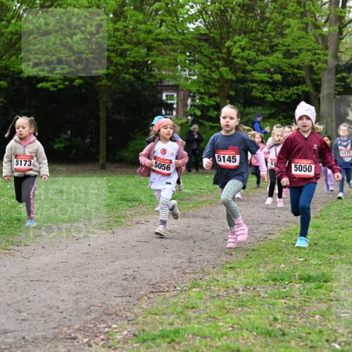 19.04.2026 - Hammer Lauf Dr. Thomas Lammeyer http://msf.ph/oto/9525027 19.04.2026 09:01:05 Laufen 5056, 5173, 174, 5145, 5171, 5050 meine-sportfotos.de
