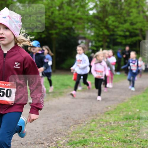 19.04.2026 - Hammer Lauf Dr. Thomas Lammeyer http://msf.ph/oto/9525045 19.04.2026 09:01:06 Laufen 056, 5050 meine-sportfotos.de