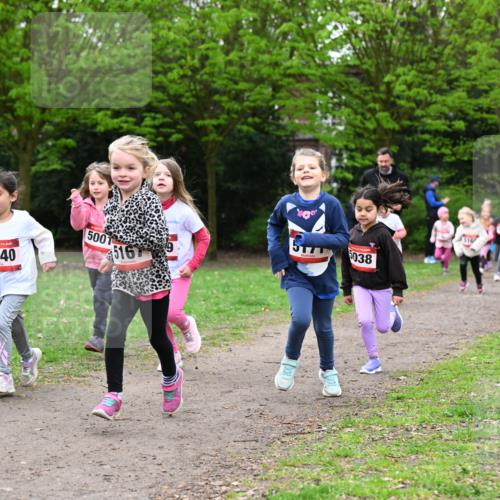 19.04.2026 - Hammer Lauf Dr. Thomas Lammeyer http://msf.ph/oto/9525073 19.04.2026 09:01:09 Laufen 5140, 500, 516, 2025, 5038 meine-sportfotos.de