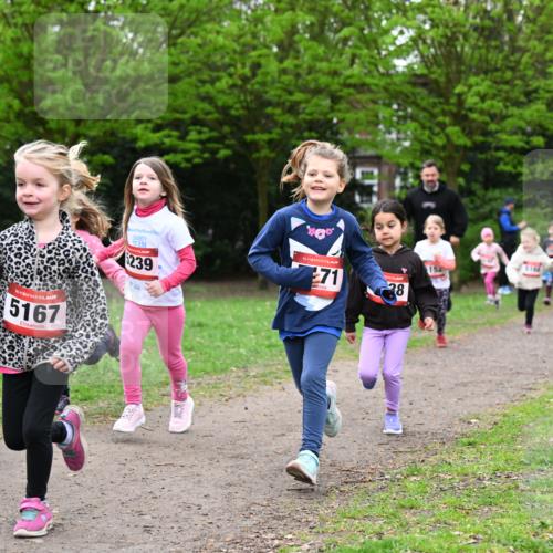 19.04.2026 - Hammer Lauf Dr. Thomas Lammeyer http://msf.ph/oto/9525078 19.04.2026 09:01:09 Laufen 140, 5167, 2025, 239, 152, 5164 meine-sportfotos.de