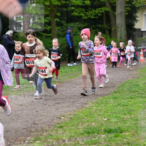19.04.2026 - Hammer Lauf Dr. Thomas Lammeyer http://msf.ph/oto/9525195 19.04.2026 09:01:21 Laufen 502, 505, 5015, 144, 500, 5088, 5056, 214 meine-sportfotos.de