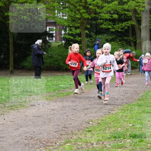19.04.2026 - Hammer Lauf Dr. Thomas Lammeyer http://msf.ph/oto/9525243 19.04.2026 09:01:26 Laufen 229 meine-sportfotos.de