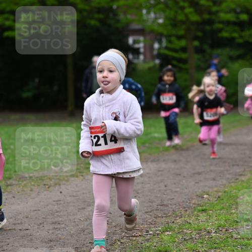 19.04.2026 - Hammer Lauf Dr. Thomas Lammeyer http://msf.ph/oto/9525273 19.04.2026 09:01:29 Laufen 5039, 214 meine-sportfotos.de