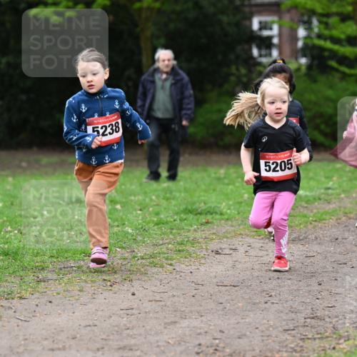 19.04.2026 - Hammer Lauf Dr. Thomas Lammeyer http://msf.ph/oto/9525284 19.04.2026 09:01:30 Laufen 5238, 5205, 5049, 5048 meine-sportfotos.de