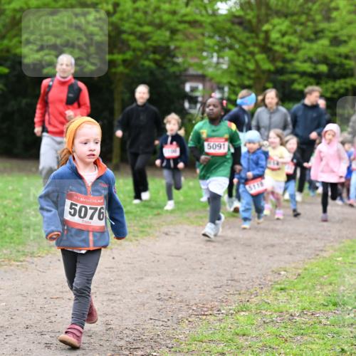 19.04.2026 - Hammer Lauf Dr. Thomas Lammeyer http://msf.ph/oto/9525349 19.04.2026 09:01:39 Laufen 5076, 5091, 5116 meine-sportfotos.de