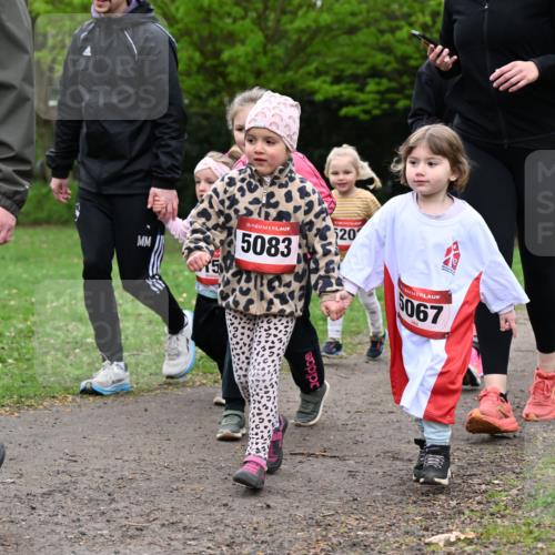 19.04.2026 - Hammer Lauf Dr. Thomas Lammeyer http://msf.ph/oto/9525450 19.04.2026 09:01:49 Laufen 5083, 520, 5067, 1565 meine-sportfotos.de