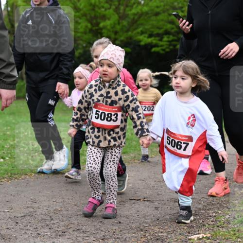 19.04.2026 - Hammer Lauf Dr. Thomas Lammeyer http://msf.ph/oto/9525451 19.04.2026 09:01:49 Laufen 5083, 202, 5067, 1565 meine-sportfotos.de