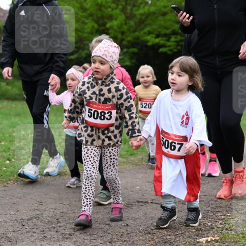 19.04.2026 - Hammer Lauf Dr. Thomas Lammeyer http://msf.ph/oto/9525453 19.04.2026 09:01:49 Laufen 5083, 520, 5067, 1565 meine-sportfotos.de