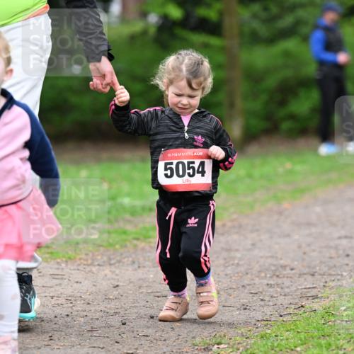 19.04.2026 - Hammer Lauf Dr. Thomas Lammeyer http://msf.ph/oto/9525563 19.04.2026 09:02:57 Laufen 5054 meine-sportfotos.de