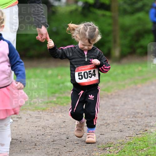 19.04.2026 - Hammer Lauf Dr. Thomas Lammeyer http://msf.ph/oto/9525569 19.04.2026 09:02:57 Laufen 5054 meine-sportfotos.de