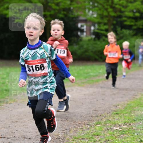 19.04.2026 - Hammer Lauf Dr. Thomas Lammeyer http://msf.ph/oto/9525606 19.04.2026 09:10:47 Laufen 5166, 119, 3147 meine-sportfotos.de