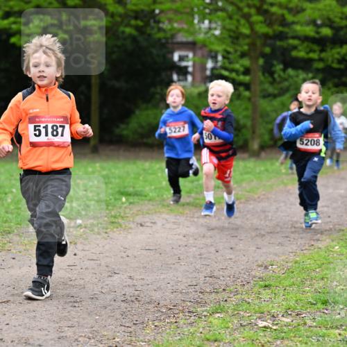 19.04.2026 - Hammer Lauf Dr. Thomas Lammeyer http://msf.ph/oto/9525622 19.04.2026 09:10:49 Laufen 5187, 5227, 5208 meine-sportfotos.de