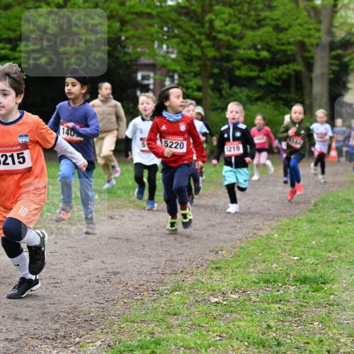 19.04.2026 - Hammer Lauf Dr. Thomas Lammeyer http://msf.ph/oto/9525669 19.04.2026 09:10:53 Laufen 5215, 184, 140, 5220, 219 meine-sportfotos.de
