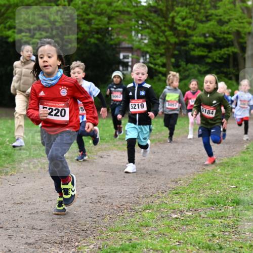 19.04.2026 - Hammer Lauf Dr. Thomas Lammeyer http://msf.ph/oto/9525681 19.04.2026 09:10:55 Laufen 220, 106, 5219, 5057, 184 meine-sportfotos.de