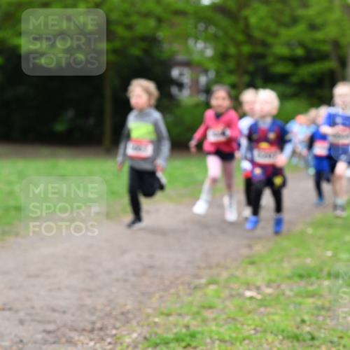 19.04.2026 - Hammer Lauf Dr. Thomas Lammeyer http://msf.ph/oto/9525705 19.04.2026 09:10:57 Laufen  meine-sportfotos.de