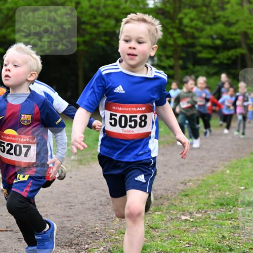 19.04.2026 - Hammer Lauf Dr. Thomas Lammeyer http://msf.ph/oto/9525726 19.04.2026 09:10:59 Laufen 5207, 5058 meine-sportfotos.de