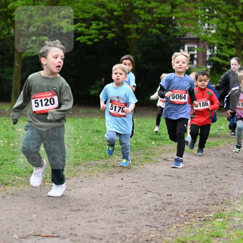 19.04.2026 - Hammer Lauf Dr. Thomas Lammeyer http://msf.ph/oto/9525751 19.04.2026 09:11:01 Laufen 5120, 5179, 5064, 5098, 186, 5159 meine-sportfotos.de