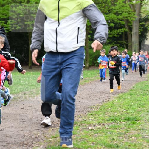 19.04.2026 - Hammer Lauf Dr. Thomas Lammeyer http://msf.ph/oto/9525771 19.04.2026 09:11:03 Laufen 5186, 5206, 189, 5143 meine-sportfotos.de