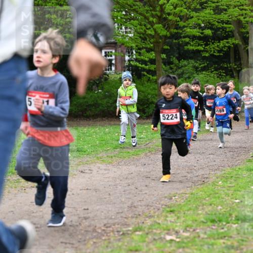 19.04.2026 - Hammer Lauf Dr. Thomas Lammeyer http://msf.ph/oto/9525777 19.04.2026 09:11:04 Laufen 591, 52240, 509, 5105, 5183, 189 meine-sportfotos.de