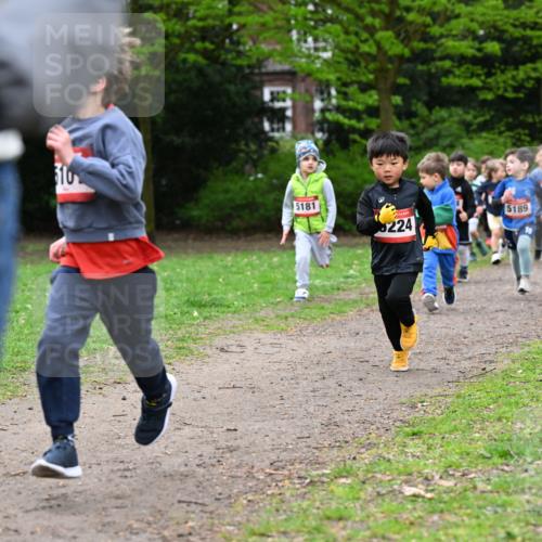 19.04.2026 - Hammer Lauf Dr. Thomas Lammeyer http://msf.ph/oto/9525781 19.04.2026 09:11:04 Laufen 310, 5181, 224, 5189, 5183 meine-sportfotos.de