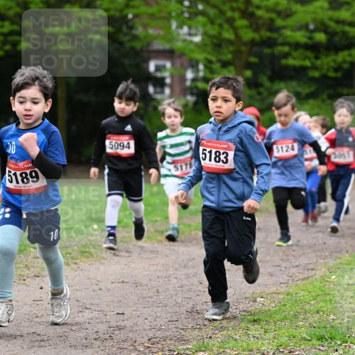 19.04.2026 - Hammer Lauf Dr. Thomas Lammeyer http://msf.ph/oto/9525817 19.04.2026 09:11:07 Laufen 5189, 5094, 5183, 5124, 5051 meine-sportfotos.de