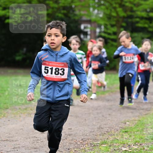 19.04.2026 - Hammer Lauf Dr. Thomas Lammeyer http://msf.ph/oto/9525826 19.04.2026 09:11:08 Laufen 5183, 5124 meine-sportfotos.de